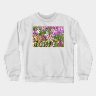 Linaria maroccana, Linaria 'Northern Lights' Crewneck Sweatshirt